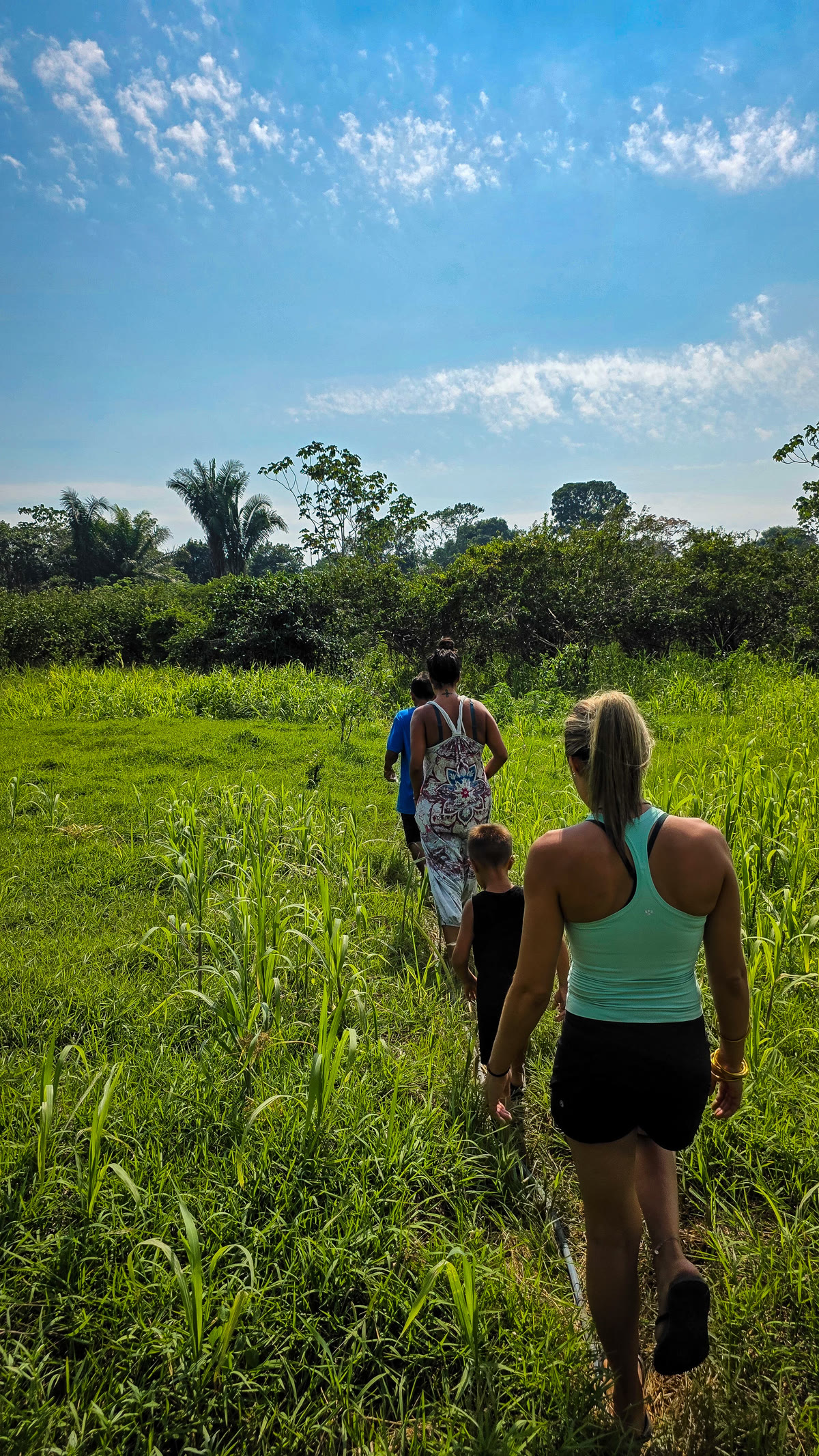 Walking single file along a trail through tall green jungle in Peru